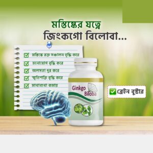 1 Pcs Ginkgo Biloba